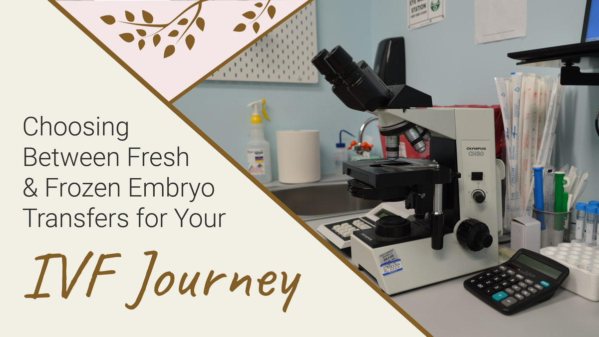 Choosing Between Fresh and Frozen Embryo Transfers for Your IVF Journey  