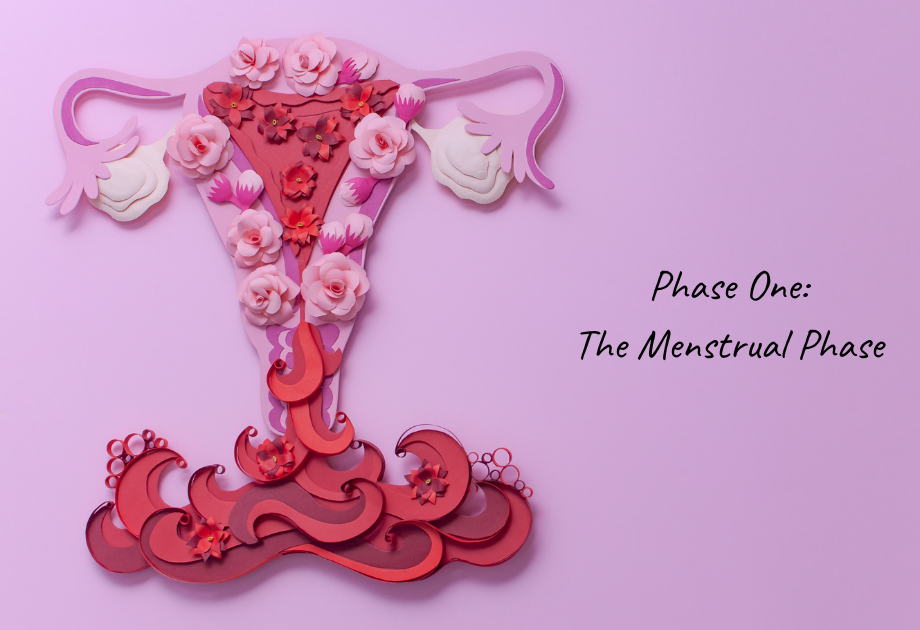 A pink and red paper uterus with flowers and leaves text reads phase one the menstrual phase