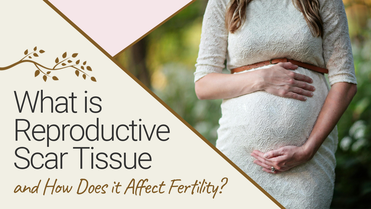 What is Reproductive Scar Tissue and How Does it Affect Fertility?