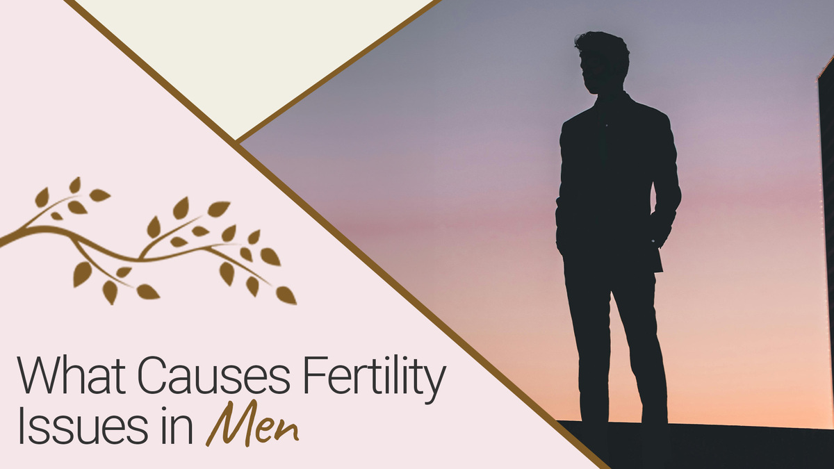 What Causes Fertility Issues in Men? | Fertility Wellness Institute of Ohio